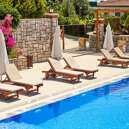 酒店 Enki Vadi Boutique